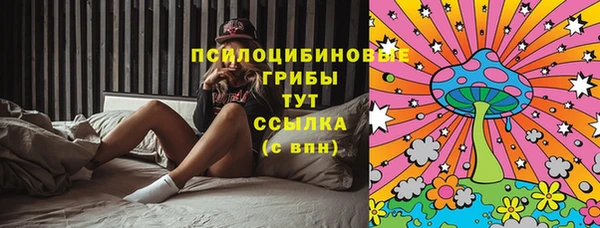 героин Алексин