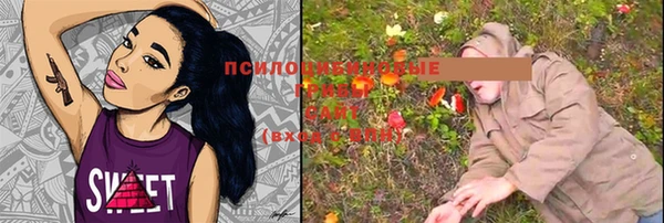 героин Алексин