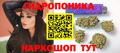 СК Моздок