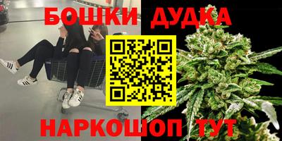 СК Моздок