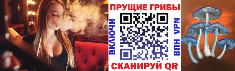 Псилоцибиновые грибы мухоморы  купить наркотик  Курск 