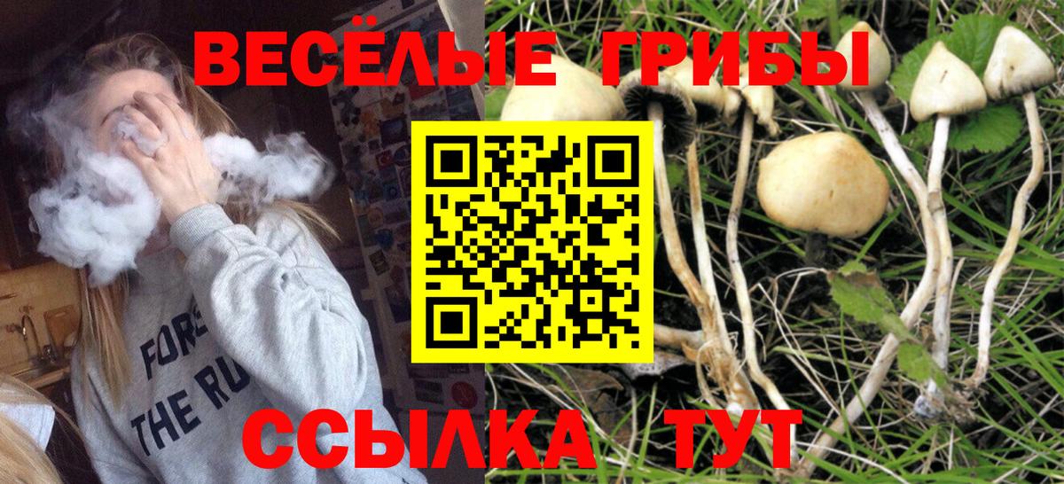 Галлюциногенные грибы ЛСД Курск