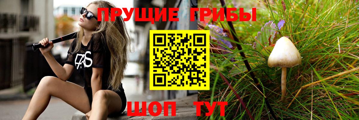 Псилоцибиновые грибы GOLDEN TEACHER  Псилоцибиновые грибы мицелий  Вход с VPN  Курск 